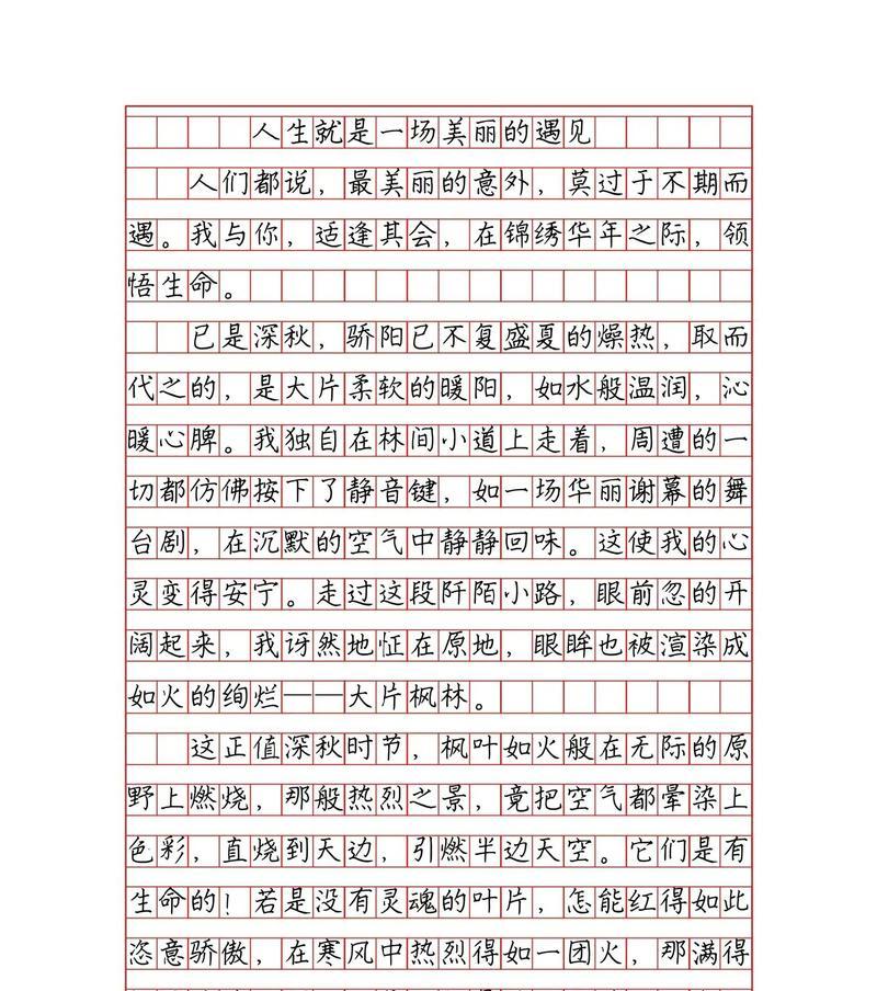 一个勇敢面对困境、追求梦想的故事（一个勇敢面对困境）