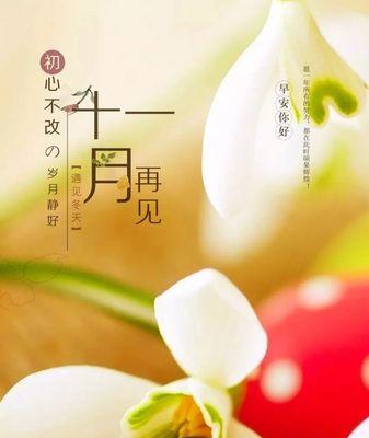 岁月静好，再见一月你好二月（人生如梦）