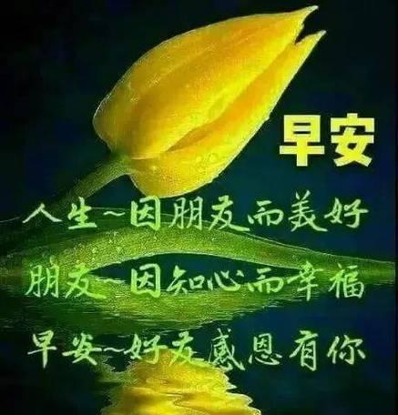 霜降祝福短句早安问候语——让清晨更美好（温暖的语言）