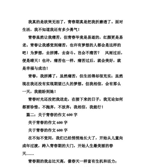 爱在年华里绽放：一场浪漫的青春故事