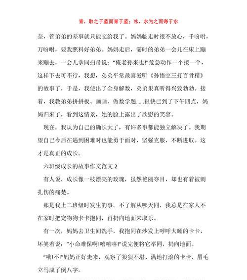 我的成长之路（从懵懂少年到坚韧青年）