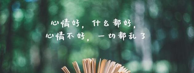 心情如花绽放人生（唯美短句）