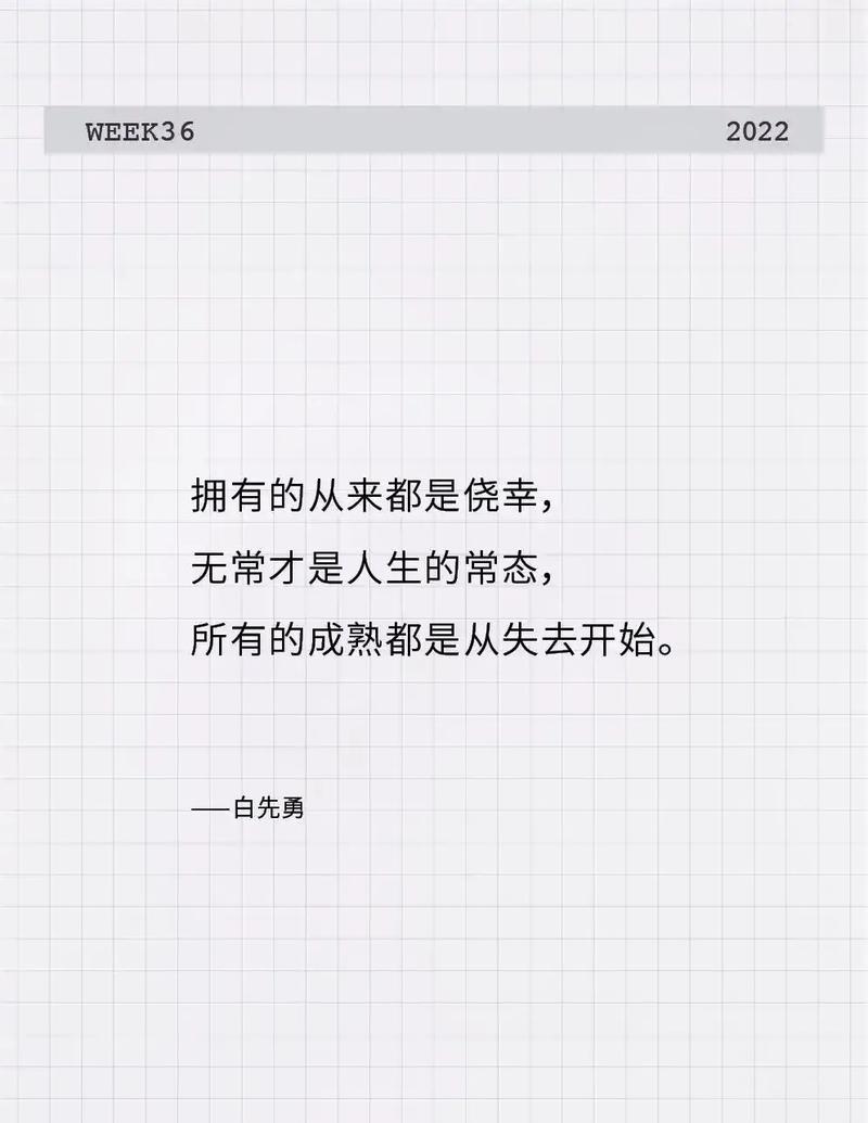 一人一茶一心境（在茶香中寻找内心的静谧）