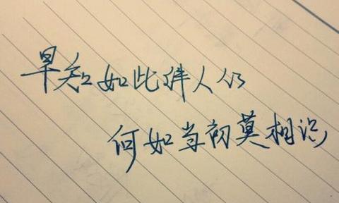 爱情的芬芳（爱情的芬芳）