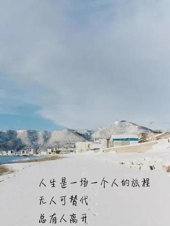 不离不弃——唯美句子盘点（探寻人生中最纯粹的情感）