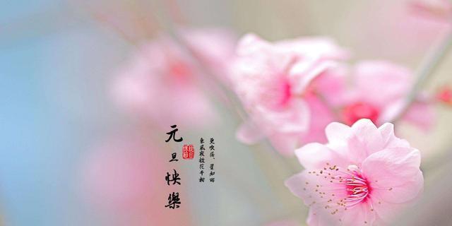 摹状貌的唯美句子（25个唯美句子）