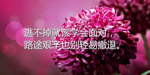 《烦恼的唯美》