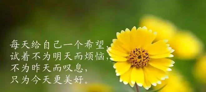 追逐内心的光芒（坚持自己喜欢的事）