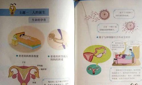 《成长的脚步》