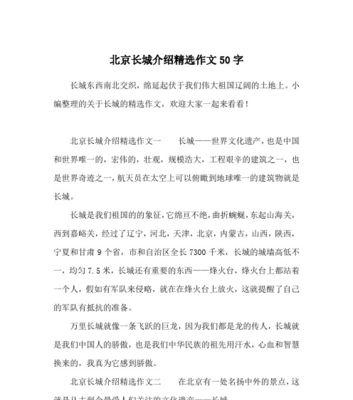 长城上的勇士（一段关于勇气与决心的故事）