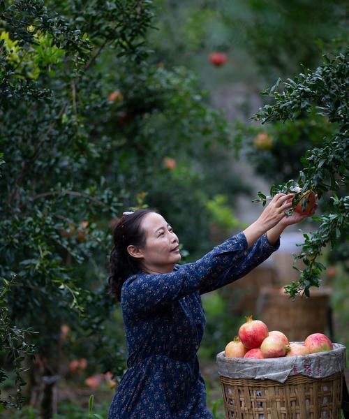 寻找幸福的旅程（一个女孩的成长故事）