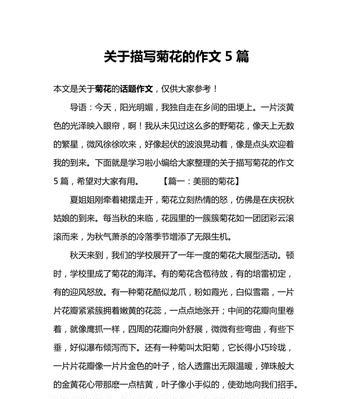 寻找真正的自己（寻找真正的自己）