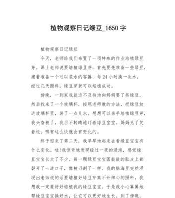 寻找自我和爱的旅程（一段以植物观察日记为主题的人生经历）