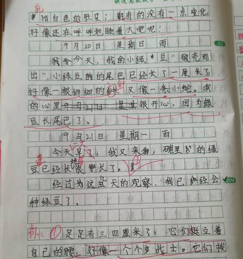 寻找自我和爱的旅程（一段以植物观察日记为主题的人生经历）