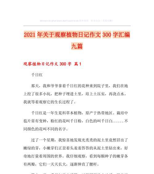 寻找自我和爱的旅程（一段以植物观察日记为主题的人生经历）