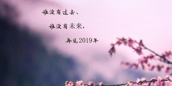再见2024你好2023，朋友圈走心好句集锦（用唯美的话语）