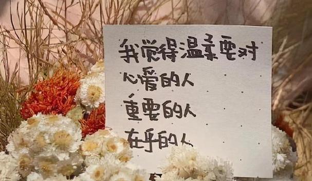 《寂静的平安夜：一个人的孤独之夜》