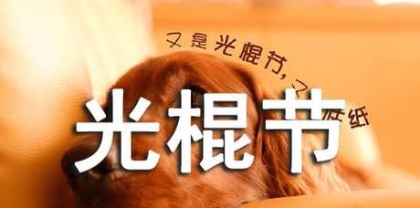 2024年光棍节，让你开怀大笑（2024年光棍节）