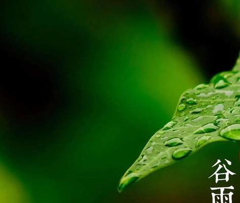 从谷雨到清明，一场唯美的春天盛宴（从谷雨到清明）