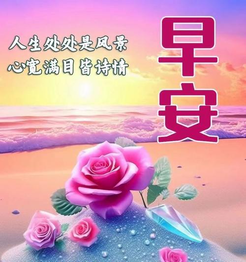2024，祝学姐中考顺利（用唯美短句）