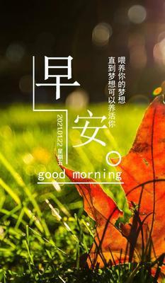 未来的每一天，都是你我的爱情（25句唯美心语）