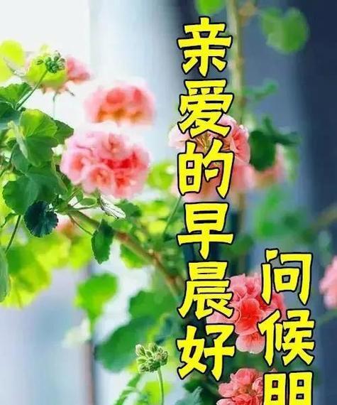 时光流转，祝福永存（时光流转）
