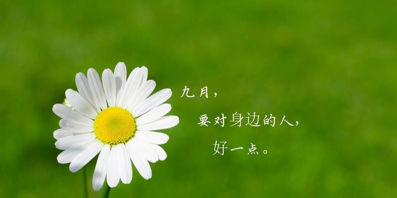 寄语每一个努力向前的人（寄语每一个努力向前的人）