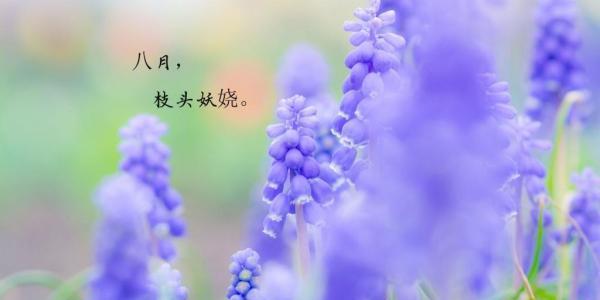 唯美短句句句沁人心脾，送别夏天，迎接秋天（唯美短句句句沁人心脾）