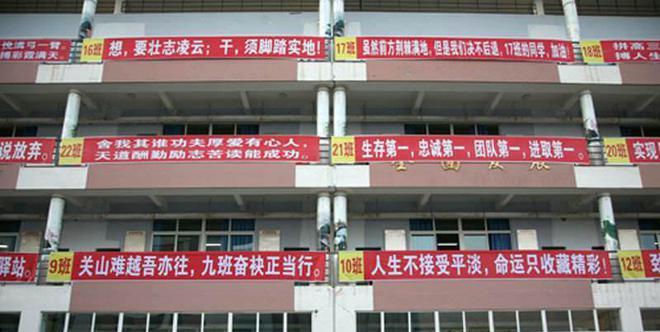 励志条幅点亮梦想之路（励志条幅点亮梦想之路）