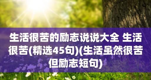 《追逐未来的光芒》