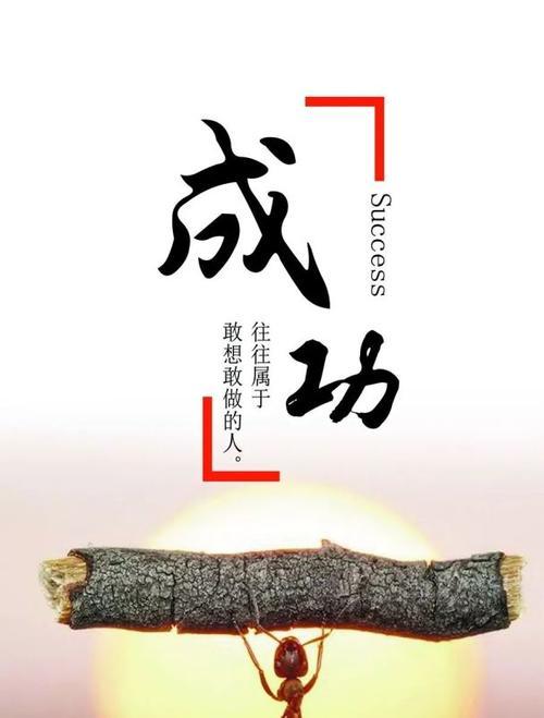 《追逐未来的光芒》