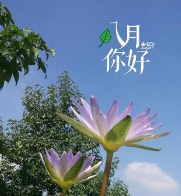 再见七月，你好八月——唯美心情短句（以短句表达心情）