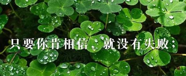 2024，感悟人生的真谛