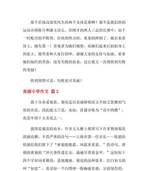 美丽的花海（迷人的景色）