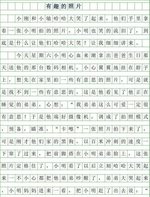 麻烦制造者（一个擅长制造麻烦的人物）