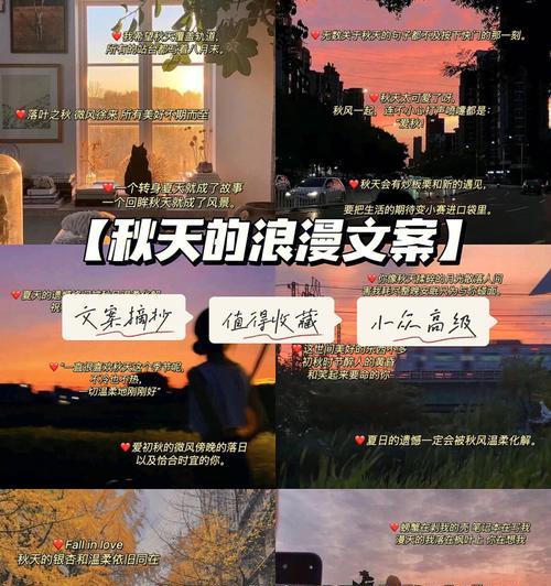 秋之乐（一个秋天的故事）