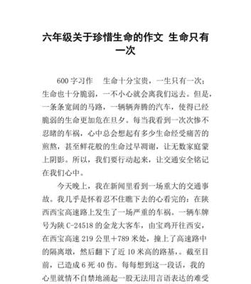 生命之路：一只小鸟的追寻
