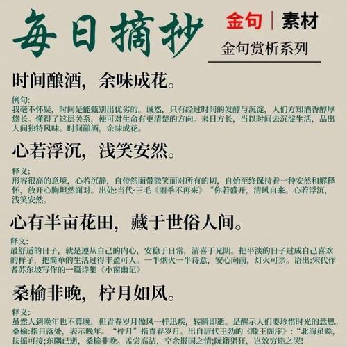 岁月中的一抹温暖（岁月中的一抹温暖）