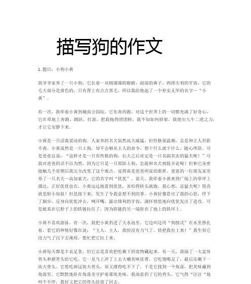 朴实的理解（用心感悟生活）