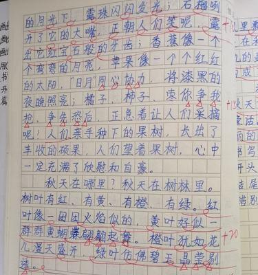 秋天公园的回忆——探寻静谧之美