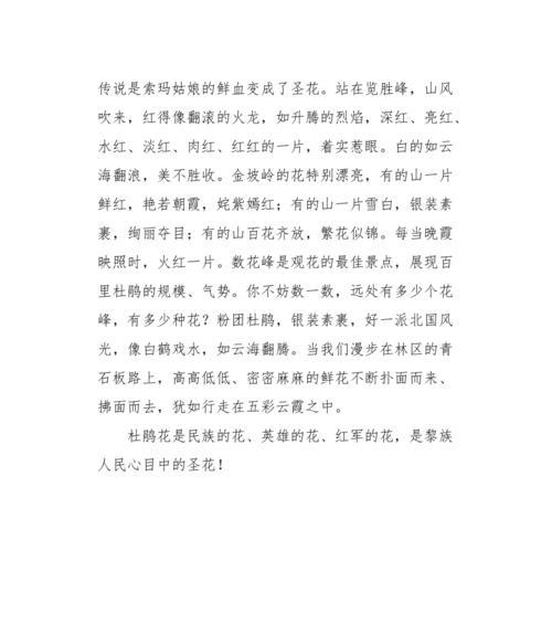美丽的传说：荒芜之地的救世主