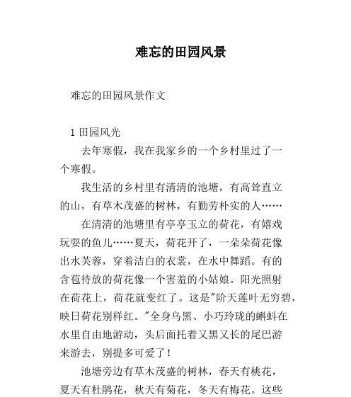 乡村风景的奇妙冒险（一个城市少年的乡村之旅）