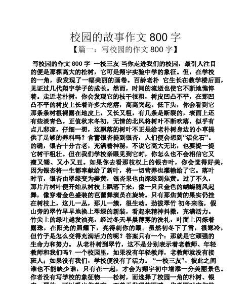 校园初三（初三生涯的点滴）