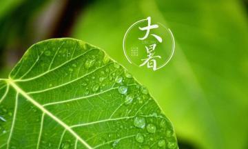 炎炎夏日，送上温馨祝福（以唯美短句为主）