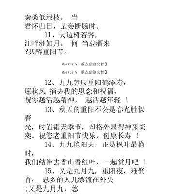 致敬岁月长河中的智慧长者——重阳送老人祝福语（用25个唯美短句为老人送上最真挚的祝福）