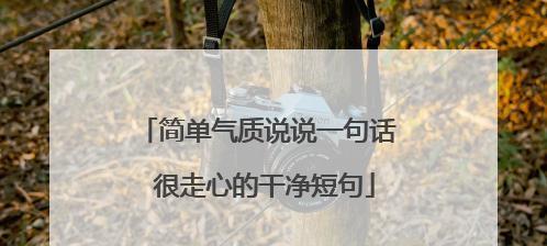 芝麻开花节节高——以2024大学毕业走心好句寄语短句（描绘时光的美丽年华）