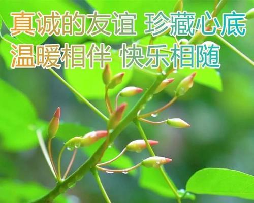 温柔唤醒，愿你每天都被爱包围（温柔唤醒）