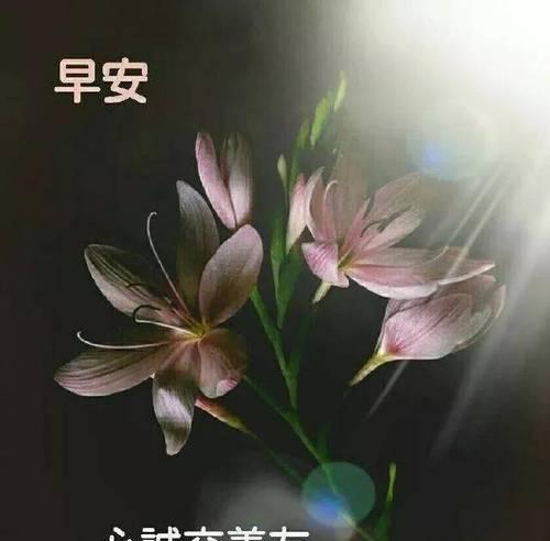 温柔唤醒，愿你每天都被爱包围（温柔唤醒）
