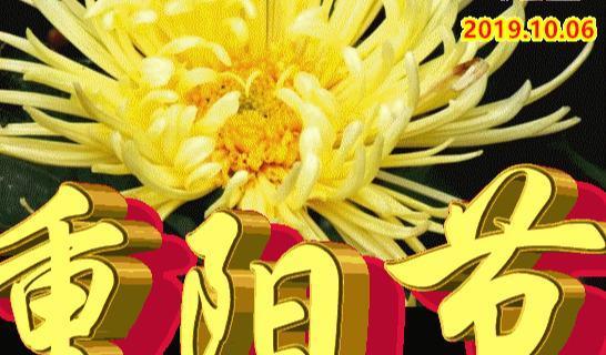 重阳节祝福短句，（表达感恩之情）