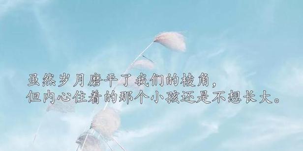 走过青春，踏出新路（走过青春）